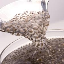 Pudins, parfaits, panquecas e saladas. Como Fazer Agua De Chia Facil Receita Agua Com Chia Receitas Com Chia Como Usar A Chia