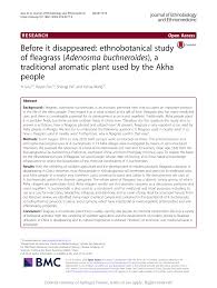 Image result for Buchnera buchneroides