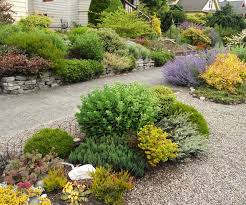 We know drought tolerant wildflower seeds and we know pollinators! 8 Colorful Drought Tolerant Landscape Designs