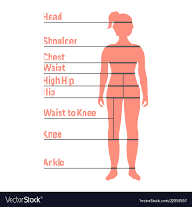 Girl Size Chart Human Front Side Silhouette