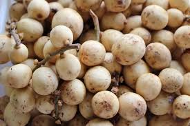 If you have the chance to eat this fruit in season, you must try it. 20 Amazing Thai Fruits A Collection Of Great Thai Fruits To Try In Bangkok Go Guides