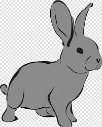 Download arctic hare no background png image for free. European Rabbit Arctic Hare Rabbit Transparent Background Png Clipart Hiclipart