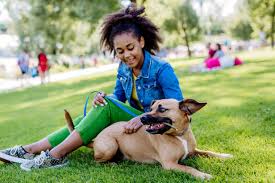 Multiracial girl sitting and resting with her dog outside in the park, training him, spending leisure time together. Concept of relationship between a dog and teenager, everyday life with pet. stock photo