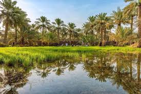 من مزارع بلدة القرين للعيش الحساوي يظهر في الصورة روح التعاون بين الفلاحين في إنجاز عملية النچاف الاحساء علي المادح Arabpx Makeportr Portrait Outdoor Water