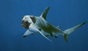 Much more images after the jump. 15 New Animal Species Bred In Photoshop Bored Panda