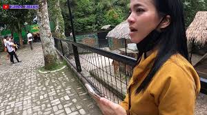 Berdasarkan jenisnya, hewan terbagi menjadi 2 kelompok, yaitu vertebrata (hewan bertulang belakang) dan avertebrata (hewan yang tidak mempunyai tulang belakang). Taman Hewan Pematang Siantar Kebun Binatang Siapkan Kuota Youtube