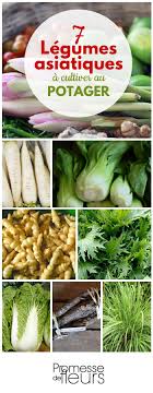 7 Legumes Asiatiques A Cultiver Au Potager Legumes Asiatiques Potager Association De Legumes