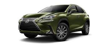 Image result for Nori Green 2021 LC