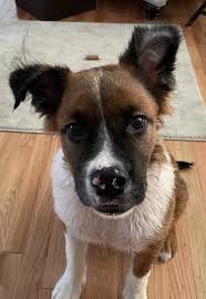 Katherine Conner added a new photo.