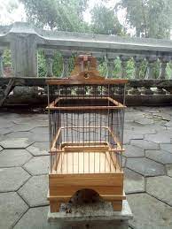 Sangkar burung simpel elegan dan minimalis terbuat dari bambu. Sangkar Burung Kecil Lazada Indonesia