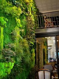 Mur Vegetal Stabilise Mur Vegetal Interieur Mur Vegetal Jardins Verticaux Interieurs