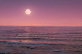 Its the closest full moon of 2021 so far, the second of four supermoons in 2021, and the second successive super pink moon. Rp9i8q8ezyvn M