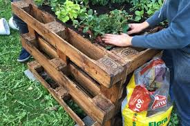 Je nach platzangebot im eigenen garten. Die Top 10 Der Besten Pflanzen Fur Ein Hochbeet Plantura