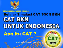 Bagi yang sudah mendaftar cpns 2019 sudah dapat mengikuti latihan soal tes calon pegawai negeri sipil (cpns 2019). Daftar Kumpulan Latihan Soal Tes Cpns Beserta Simulasi Cat Bkn