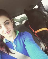 Muffin the Miniature Therapy Horse