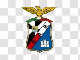 The tone, the vivacity and the joy of the shirts colour, the eagle as a symbol of its. Logo S L Benfica Png Images Transparent Logo S L Benfica Images
