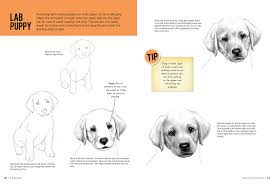 Nov 09, 2018 · 11. Drawing Dogs Puppies Learn To Draw Step By Step How To Draw Paint Knox Cynthia Amazon De Bucher