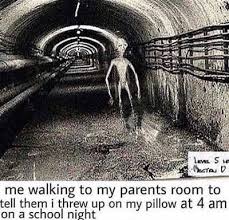 Me Walking To My Parents Room To Tell Them I Threw Up On My Pillow Ahseeit