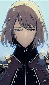 pin on solo leveling s rank cha hae in