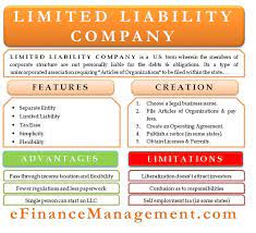limited liability company meaning features pros cons bookkeeping business tax balance sheet of listed