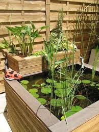 Aquaponics System Un Petit Bassin De Jardin Ou Terrasse Des Galets Blancs Pour Le Fond Et Les Paniers Un Nnuphar Et Des Aquaponics Plants Aquaponics System