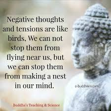 Don T Let Negative Thoughts Build A Nest In Your Mind Buddhism Quote Buddhist Quotes Buddha Quote