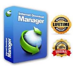 These fake licenses are usually obtained from the internet, in essence not an official license from idm. Internet Download Manager Idm Software Lifetime License 1 Pc