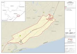 Image result for Callichilia orientalis