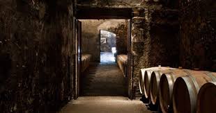 Decouverte œnologie Degustation De Vin Domaine Viticole Vignoble Francais