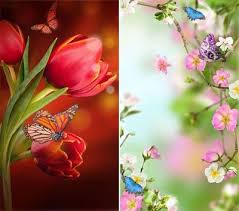 Gambar wallpaper laptop bagus gambar wallpaper keren untuk komputer dan. Wallpaper Bunga Bergerak Untuk Hp Literatur