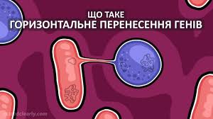 Горизонтальний перенос генів