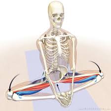 Pin On Yoga Tips And Tricks For Yoga Teachers