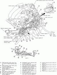 I have a 1996 nissan maxima which has no spark changed 1996 nissan maxima engine diagram 5 Infiniti Qx5 Engine Diagram Nissan Maxima Nissan Diagram