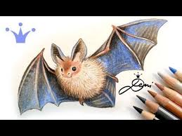Fledermaus Zeichnen Schnell Realistisch How To Draw A Realistic Bat Youtube Draw A Bat Drawing Challenge Drawings