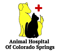 When your pet requires emergency or specialty care, there's tremendous peace of mind knowing that all the at powers pet emergency and specialty in colorado springs, our emergency veterinarians don't just share space under one roof. Veterinarian In Colorado Springs Co Animal Hospital Of Colorado Springs