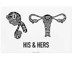 Major muscles of the body, with their common names and scientific (latin) names your job is to diagram and label the major muscle groups, for both the anterior (frontal) view and the posterior (rear) view anterior view. Reproductive Anatomy Typographic Artwork Male Female Anatomy