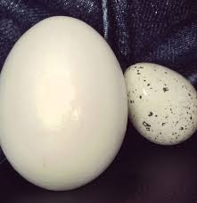 Google it,' one commenter wrote. One Testicle Bigger Than The Other Causes Risks And Self Exams