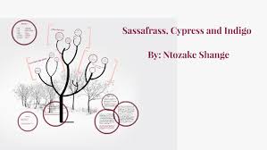 Sassafrass, Cypress and Indigo by Cris Cook