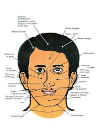 Reflexology Pressure Point Chart Check Your Pressure