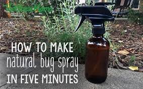 Homemade Bug Spray Recipes That Work Wellness Mama