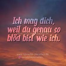 Ich Mag Dich Weil Du Genau So Blod Bist Wie Ich Sarkastische Spruche Freunschaft Spruche Spruche
