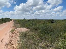 Terrenos, sítios e fazendas - Biritinga, BA | OLX