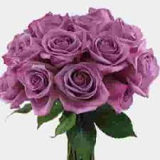 Flower names my flower flower pictures roses purple wedding flowers wedding bouquets light purple flowers colorful roses types of flowers the lavender & purple rose study. Rose Deep Purple 50cm Wholesale Blooms By The Box
