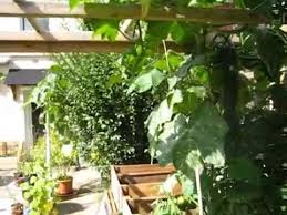 Potager Urbain Inspire De La Permaculture Permaculture Permaculture Design Small Garden
