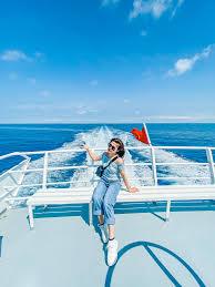 Tàu Cao Tốc Superdong added a new... - Tàu Cao Tốc Superdong