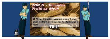 I was very impressed with eric jerome who evaluated our pest problem and determined that we have honey bees and would not remove them. Budget Pest Control Best Pest Control Pittsburgh Pa