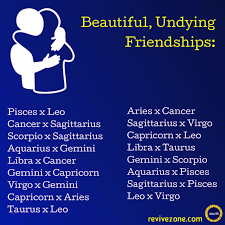 I have actually been asked a lot if this year will prove to be a great time for both of these signs to start a relationship with one another. Leo And Virgo Friendship