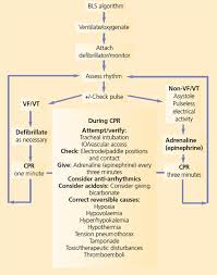 Learn vocabulary, terms and more with flashcards, games and other study tools. Paediatric Resuscitation Advanced Life Support