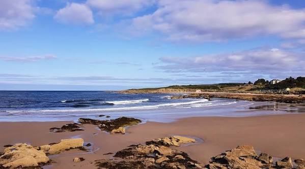 Cove Bay - All You SHOULD Know Before Going 2026 (with Reviews)