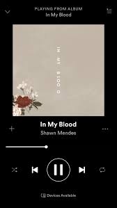 Shawn mendes i love this song because it feels so honest. Music Panosundaki Pin